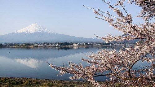 lake-kawaguchiko-mount-fuji